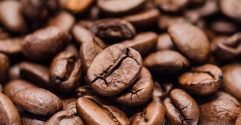 cafeína-inseticida-defensivo