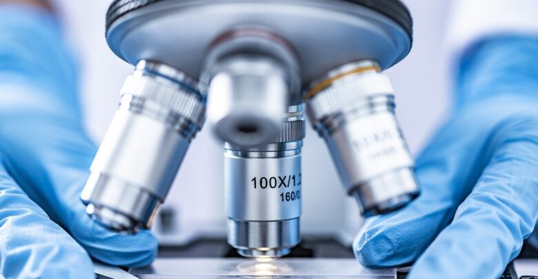 defensivos-agrícolas-orgânicos-nanotecnologia