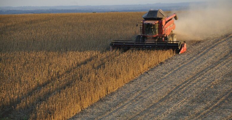 alta-glifosato-custo-produção-agricultores-brasileiros