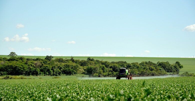 Promip-lança-inseticida-macrobiológico-para-manejo-da-mosca-branca
