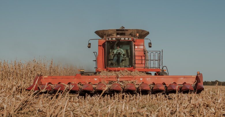 safra-da-cana-de-acucar-sofre-queda-na-produtividade-por-alta-incidencia-de-pragas
