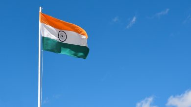 india-deve-aprovar-no-curto-prazo-esquema-pli-para-agroquimicos